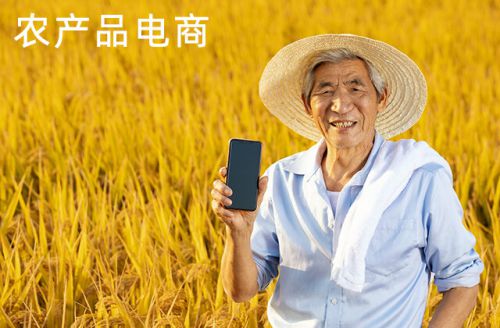 推动农产品电商数字化改造 物流与经营双轮驱动的农业新篇章